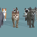 Various Breeds and Colored Cats with Distinct Patterns Standing on Blue Background