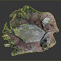Wooden Tree Stumps And Moss Covered Stone Platform With Natural Texture Decorative Ground