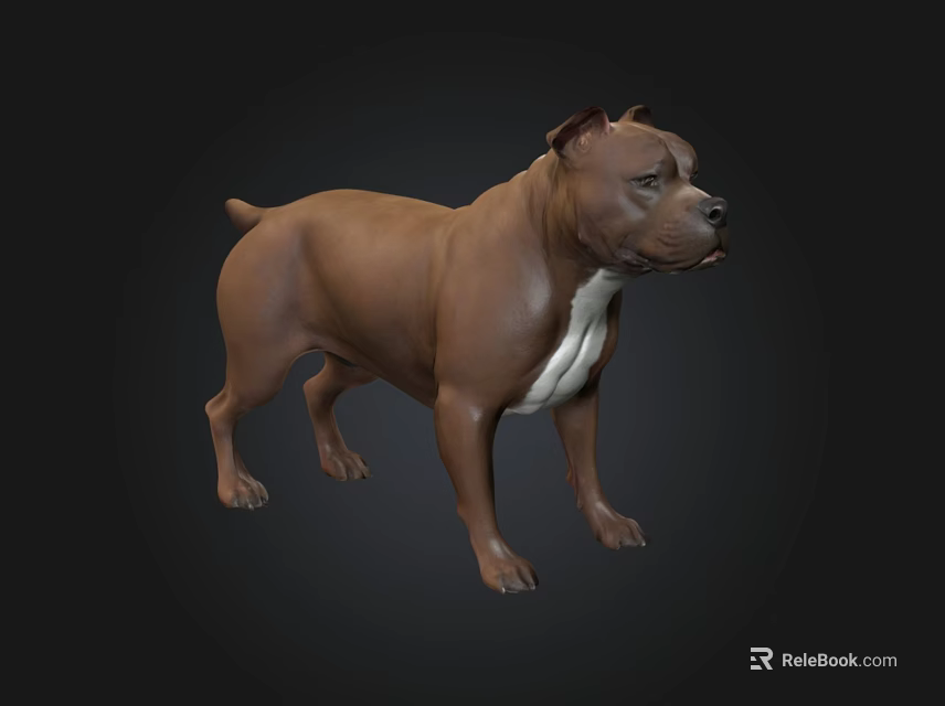 3D Model of Brown Staffordshire Bull Terrier in Standing Pose on Dark Background 3d model 