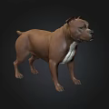 3D Model of Brown Staffordshire Bull Terrier in Standing Pose on Dark Background