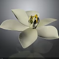 Beautiful White Flower With Open Petals And Yellow Stamens On Dark Background