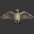 Detailed Falcon Bird with Spread Wings Standing on Reflective Gray Background