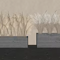 Dried Pampas Grass In Concrete Planters Against Brown Wall And Gray Floor