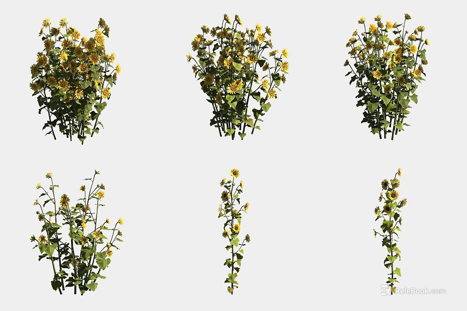 Fresh Yellow Flowers with Green Leaves Decorative Plants in Multiple Bouquets Arranged in Rows 3d model 