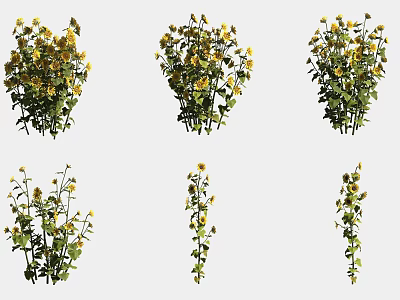 Fresh Yellow Flowers with Green Leaves Decorative Plants in Multiple Bouquets Arranged in Rows 3d model