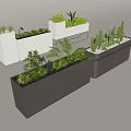 Various Green Plants and Cacti in Modern White and Gray Planters