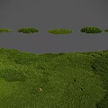 Lush Green Meadow With Round Grass Clumps Under Gray Sky 3d model