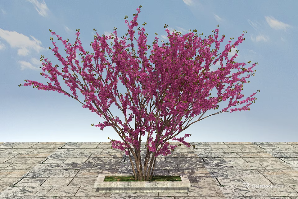 Tree Pit With Pink Flowering Tree And Stone Pavement Under Blue Sky 3d model