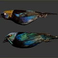 Three Colorful Birds With Vibrant Blue Yellow Green Feathers On Dark Background