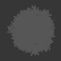Platycladus orientalis cypress pine shrub hedge pruning tree landscaping ornamental plants courtyard tree 3d model