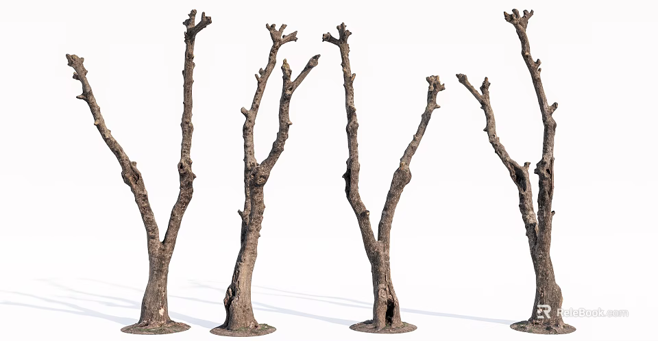 Bare Trees with Thick Trunks and Twisted Branches in Various Shapes 3d model