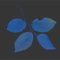 Single Branch with Autumn Yellow and Green Leaves on Smooth Gray Background Showing Soft Reflection