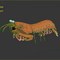 Orange Lobster Paper Craft Model With Detailed Antennae And Claws
