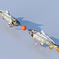 Silver Gray Fish With Orange Tails Arranged Radially Around Orange Object 3d model