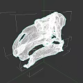 Reptile Skull 3D Model With Detailed Anatomical Structure And Bone Features