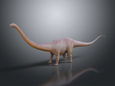 3D Sauropod Dinosaur Model With Long Neck Tail Pink Body Gray Background And Reflection 3d model