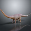 3D Sauropod Dinosaur Model With Long Neck Tail Pink Body Gray Background And Reflection