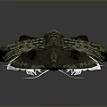 Ancient Trilobite Fossil With Detailed Exoskeleton And Antennae on Gray Background