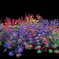 Colorful Flowering Shrubs With Red Purple Blue And Green Leaves In Dense Growth