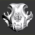 Detailed Shiny Metallic Skull Structure With Glossy Surface Texture And Reflection Details