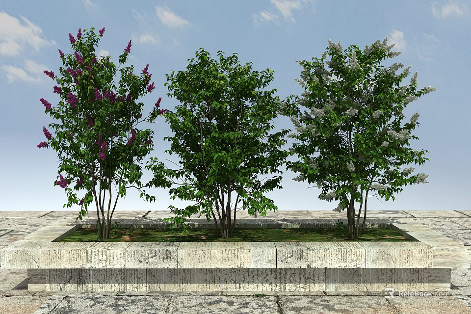 Three Flowering Trees with Purple White Blooms in Stone Planter Under Blue Sky 3d model 