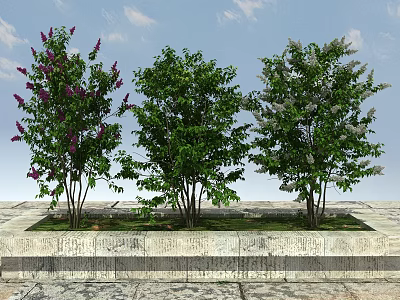 Three Flowering Trees with Purple White Blooms in Stone Planter Under Blue Sky 3d model