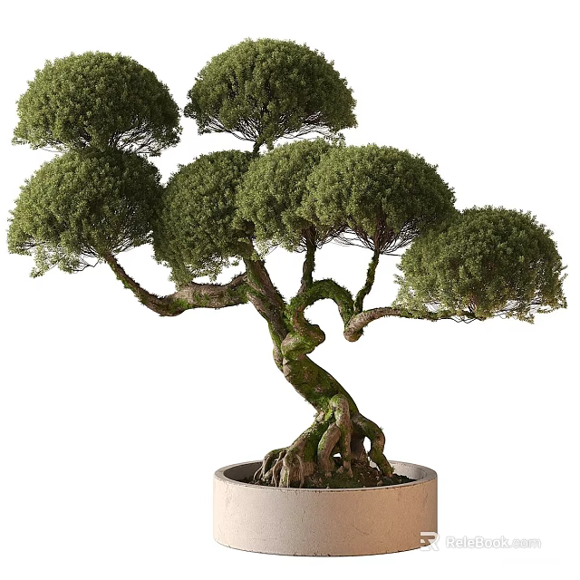 Artistic Bonsai Tree with Twisted Trunk Exposed Roots and Lush Green Foliage in Ceramic Pot 3d model 