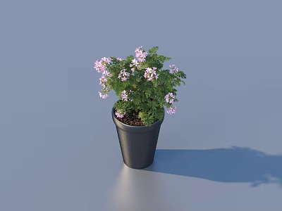 Bonsai Potted Plant With Purple Flowers Green Leaves And Black Pot For Indoor Decor 3d model