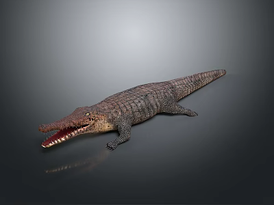 Realistic Crocodile With Open Mouth And Detailed Skin On Dark Background 3d model