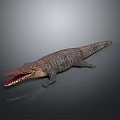 Realistic Crocodile With Open Mouth And Detailed Skin On Dark Background