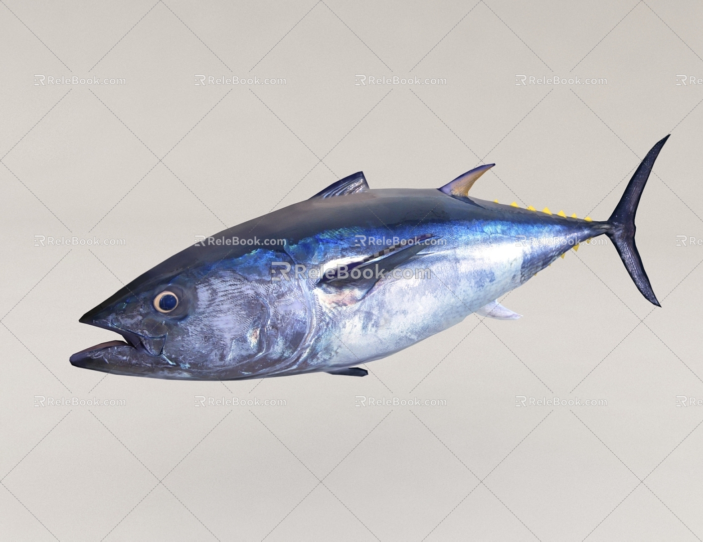 aquatic animal fish seafood 3d model