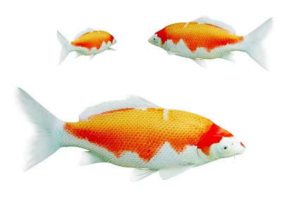 Colorful Three Orange and White Koi Fish Swimming in Clear Pond Water 3d model