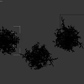 Decorative Hanging Plant Arrangement With Green Leaves Black Pots White Base And Metal Stands