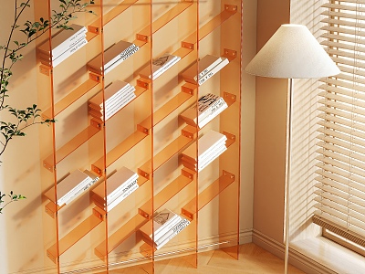 Acrylic Storage Rack model