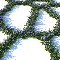 High Definition Shrub 3D Models with Various Design Renderings and Details