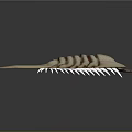 Detailed Arthropod Like Creature Organ And Hair Features With Segmented Body Spines And Hairy Texture