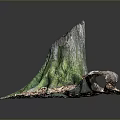 Green Moss Growing On Tree Stump With Wood Chips And Dark Background