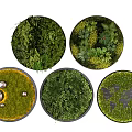 Circular Living Plant Wall Multiple Designs With Mixed Greenery For Interior Decoration 3d model