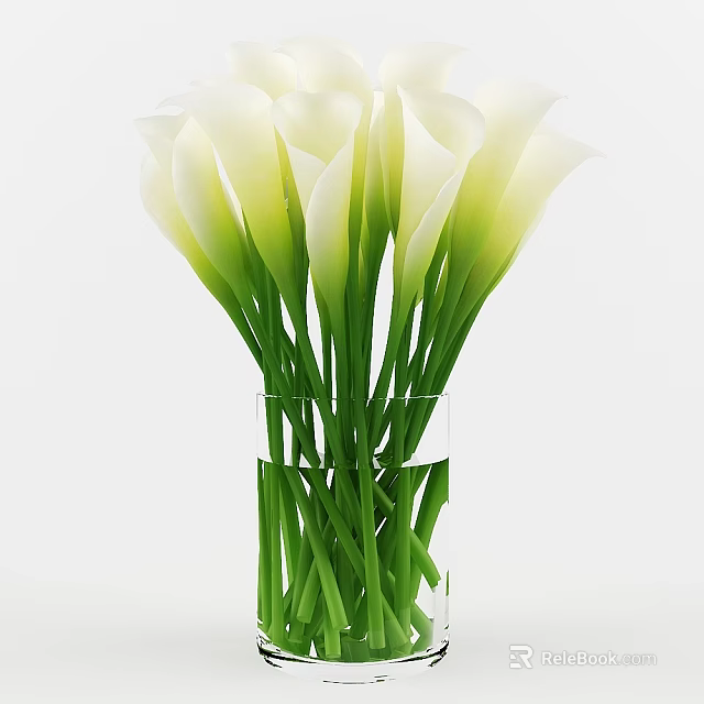 White Calla Lilies Arranged in Transparent Glass Vase with Green Stems and Water 3d model 
