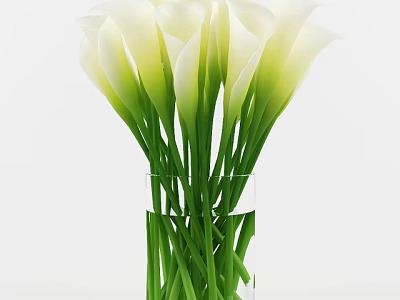 White Calla Lilies Arranged in Transparent Glass Vase with Green Stems and Water 3d model