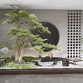 Japanese Dry Landscape Garden With Pine Tree Circular Window Perforated Wall And Mossy Gravel