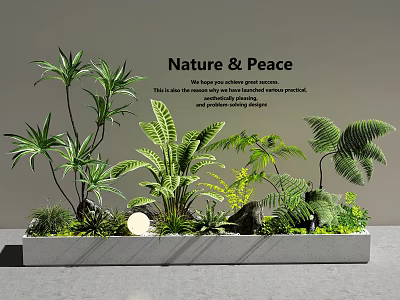 Natural Plant Combination With Various Green Ferns and Palm Plants for Interior Design 3d model