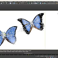 Two Colorful Blue Butterflies With Black Edged Wings On White Background