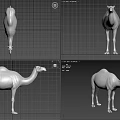 Single Silver Camel 3D Model on White Background with Detailed Texture 3d model