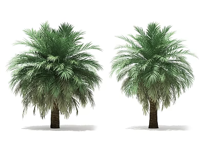 Two Green Palm Trees with Lush Green Leaves and Thick Trunks in Natural Landscape 3d model