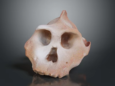 Unique Skull Sculpture With Brown And White Textured Surface On Gray Background 3d model