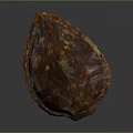 Turtle shell Han turtle shell turtle cartoon turtle snapping turtle hawksbill reptile cold-blooded animal 3d model