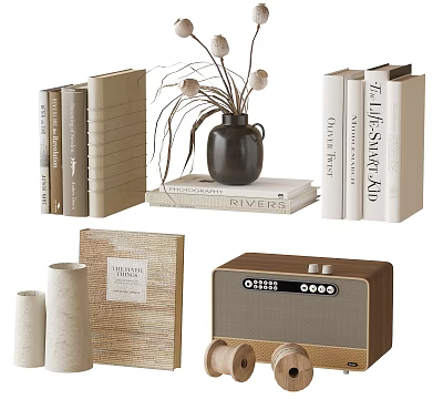 Decorative Ornament Set with Books Vase Dried Flowers Radio and Rolled Paper for Home Decor 3d model