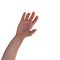 Human Hand and Arm with Palm Up and Fingers Naturally Spread on Gray Background