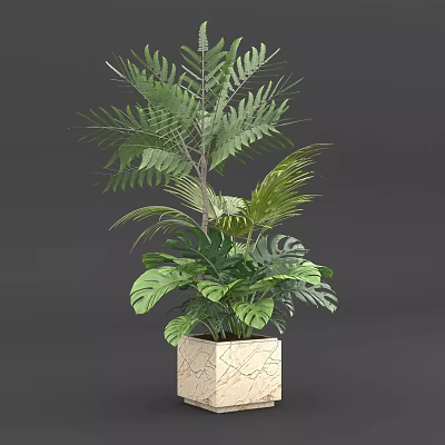 Potted Plant with Green Fern and Monstera Leaves in Square Textured Indoor Decor Pot 3d model